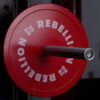 Discuri-calibrate-Rebellion-(Standard-IPF)-01 Set discuri calibrate Rebellion (Standard IPF)