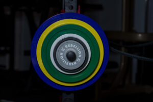 Discuri-calibrate-Rebellion-(Standard-IPF)-08 Set discuri calibrate Rebellion (Standard IPF)